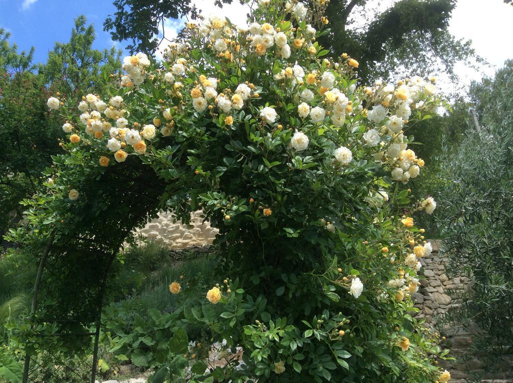 Sous Les Canniers Saumane-de-Vaucluse Esterno foto